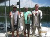 (08/18/2017) - Nice Striped Bass